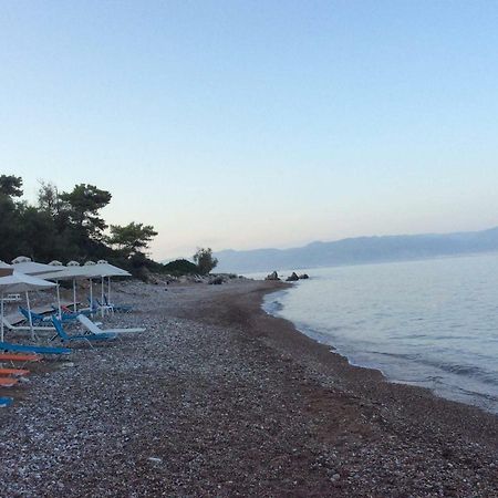Petalidi Fragkos Apartment Bagian luar foto