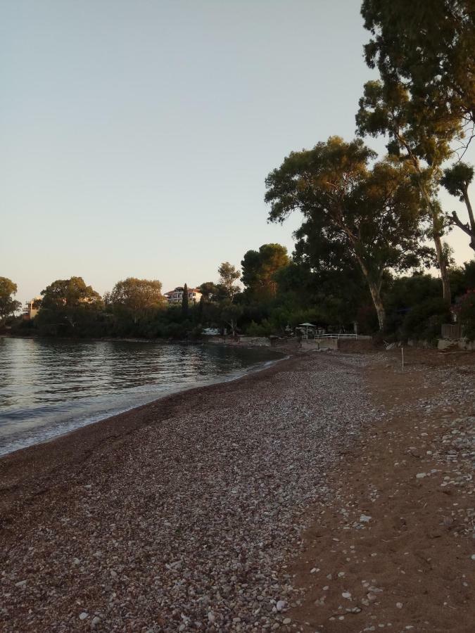 Petalidi Fragkos Apartment Bagian luar foto